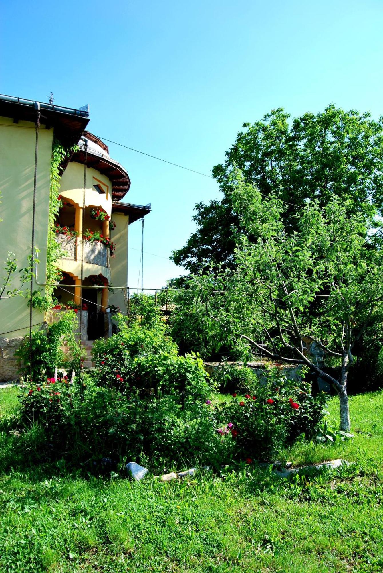 Pensiunea Cassandra Hotel Németvásár Kültér fotó